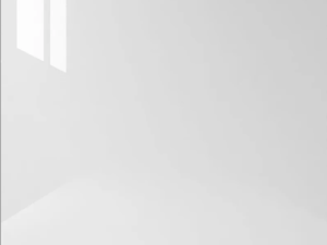 P.R.M. - Prime Mist White